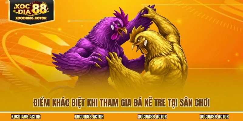 Điểm khác biệt khi tham gia đá kê tre tại sân chơi