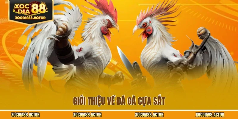 Giới thiệu về đá gà cựa sắt