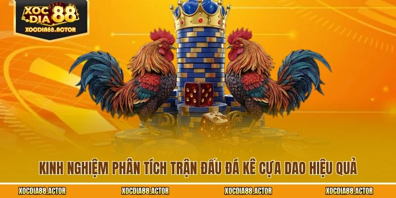 Kinh nghiệm phân tích trận đấu đá kê cựa dao hiệu quả