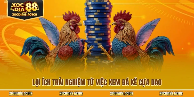 Lợi ích trải nghiệm từ việc xem đá kê cựa dao