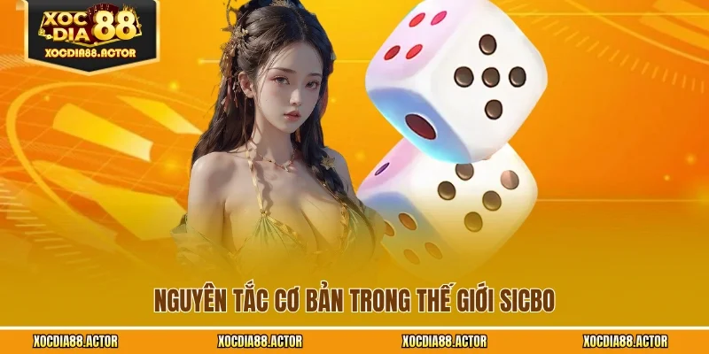 Nguyên tắc cơ bản trong thế giới sicbo