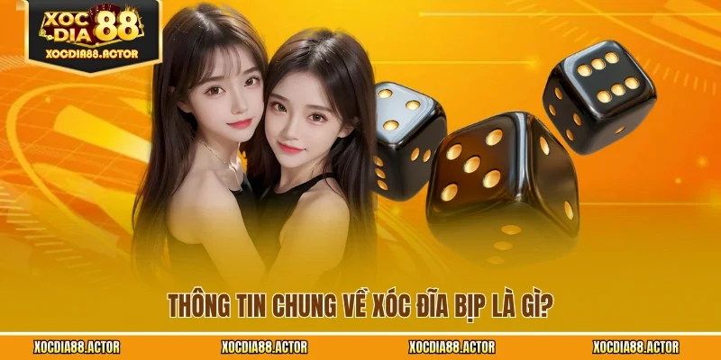 Thông tin chung về xóc đĩa bịp là gì?