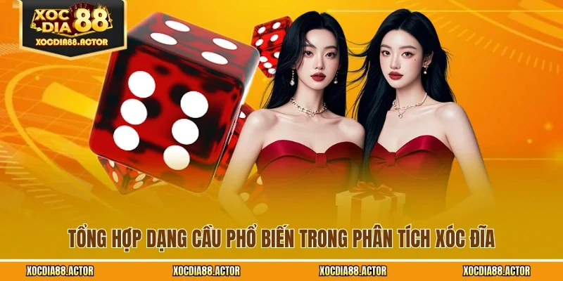 Tổng hợp dạng cầu phổ biến trong phân tích xóc đĩa