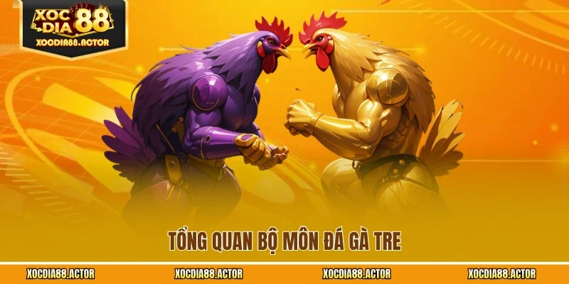 Tổng quan bộ môn đá gà tre