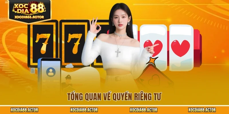 Tổng quan về quyền riêng tư